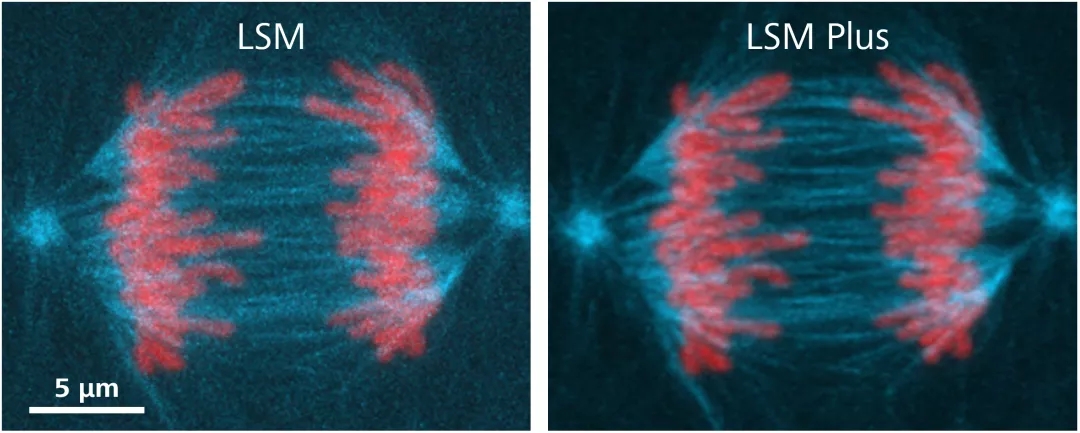 ���۽���΢��