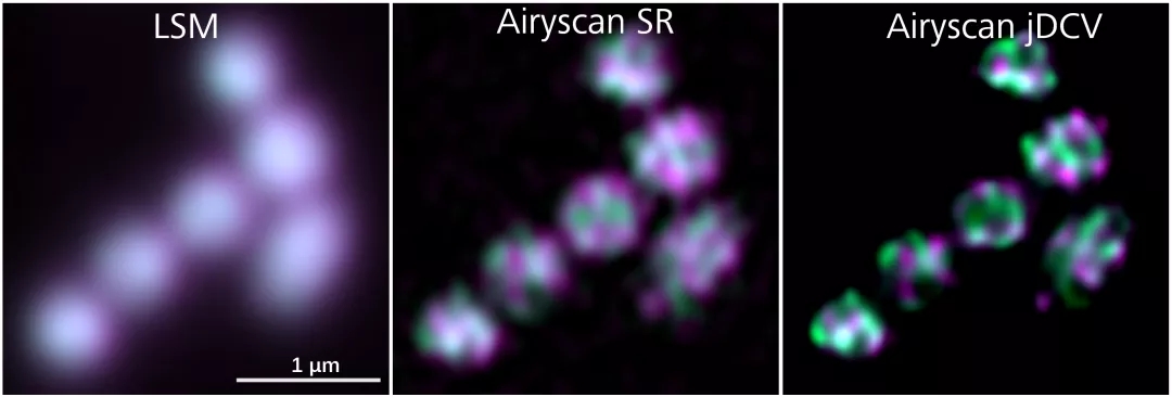 ���۽���΢��